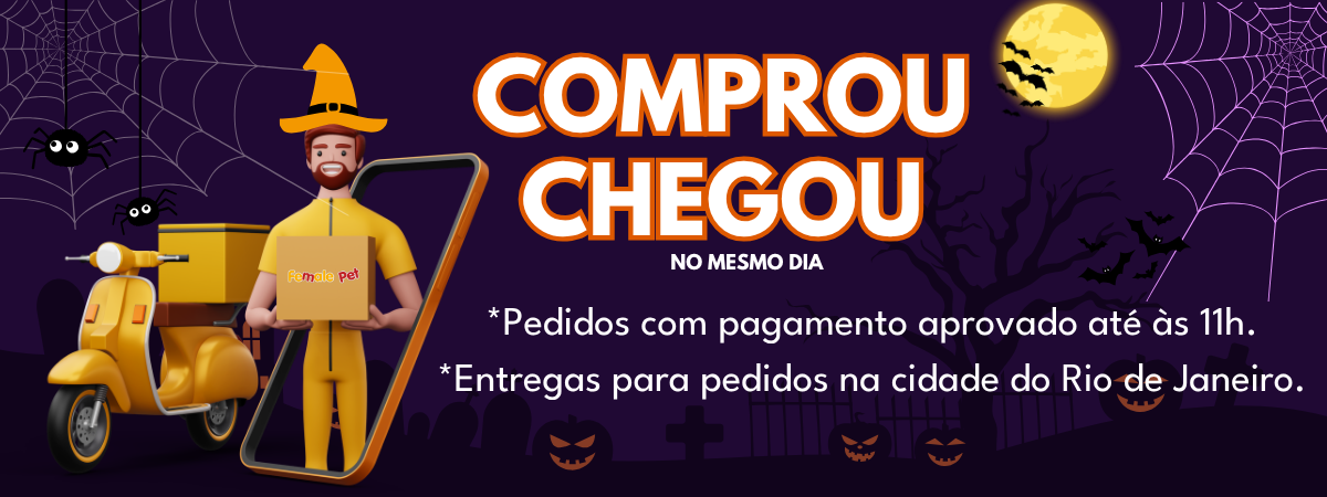 entrega no msm dia